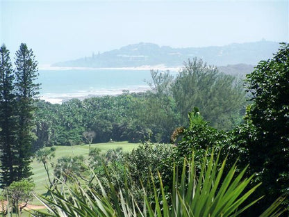 19Th Hole Lodge Southbroom Kwazulu Natal South Africa Beach, Nature, Sand, Palm Tree, Plant, Wood, Ball Game, Sport