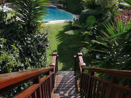 Aberdour Guesthouse Humewood Port Elizabeth Eastern Cape South Africa Palm Tree, Plant, Nature, Wood, Garden, Swimming Pool