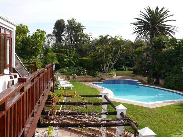 Aberdour Guesthouse Humewood Port Elizabeth Eastern Cape South Africa House, Building, Architecture, Palm Tree, Plant, Nature, Wood, Garden, Swimming Pool