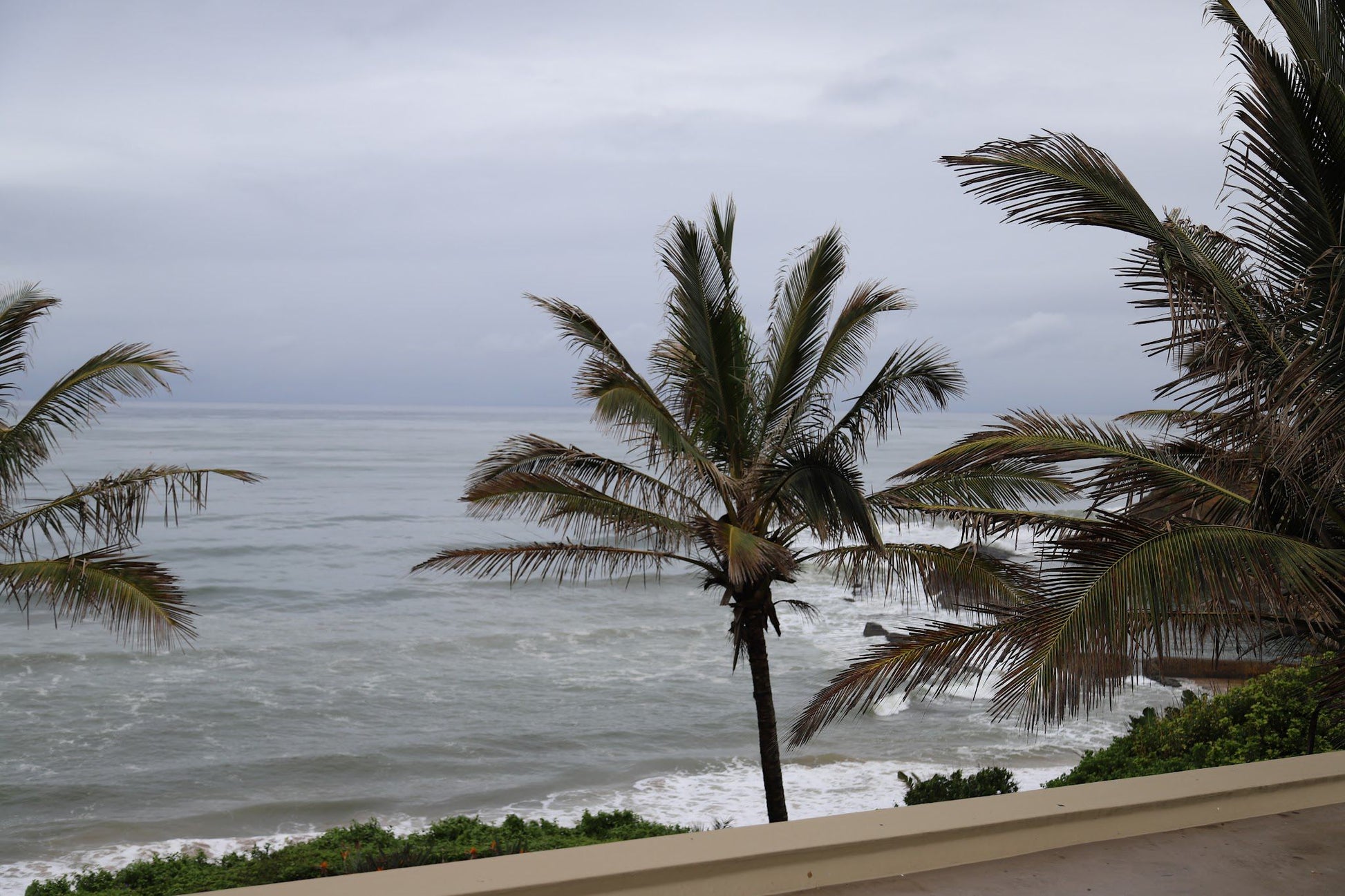 1 Marichel Shakas Rock Ballito Kwazulu Natal South Africa Beach, Nature, Sand, Palm Tree, Plant, Wood, Ocean, Waters