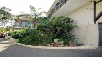 1 Palm Drive Zinkwazi Beach Zinkwazi Beach Nkwazi Kwazulu Natal South Africa Palm Tree, Plant, Nature, Wood, Garden