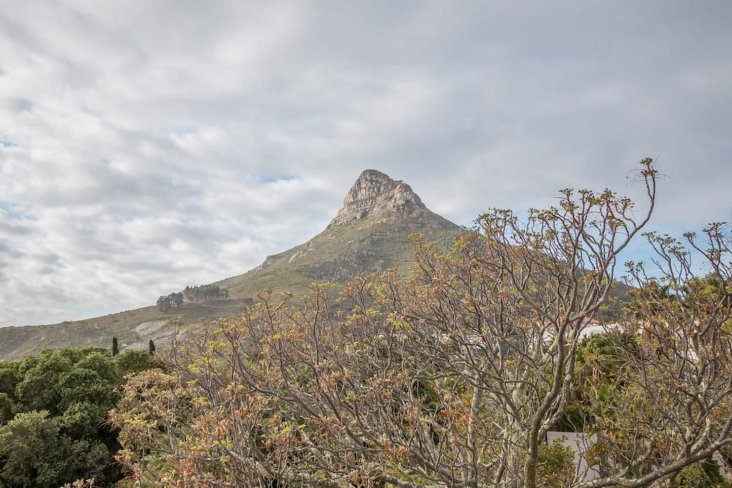 2 Medburn Road Camps Bay Cape Town Western Cape South Africa Mountain, Nature, Highland