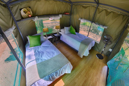 2 Night Kruger Adventurer Getaway Package Central Kruger Park Mpumalanga South Africa Complementary Colors, Tent, Architecture, Bedroom