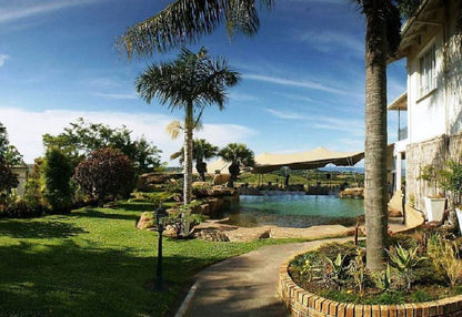 2 Night Izotsha Creek Estate Package Izotsha Margate Kwazulu Natal South Africa Complementary Colors, Palm Tree, Plant, Nature, Wood, Swimming Pool