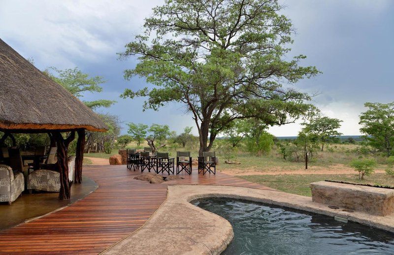 2 Night Kwafubesi Safari Package Mabula Private Game Reserve Limpopo Province South Africa Complementary Colors