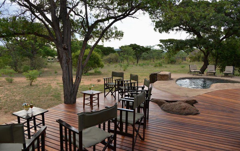 2 Night Kwafubesi Safari Package Mabula Private Game Reserve Limpopo Province South Africa 