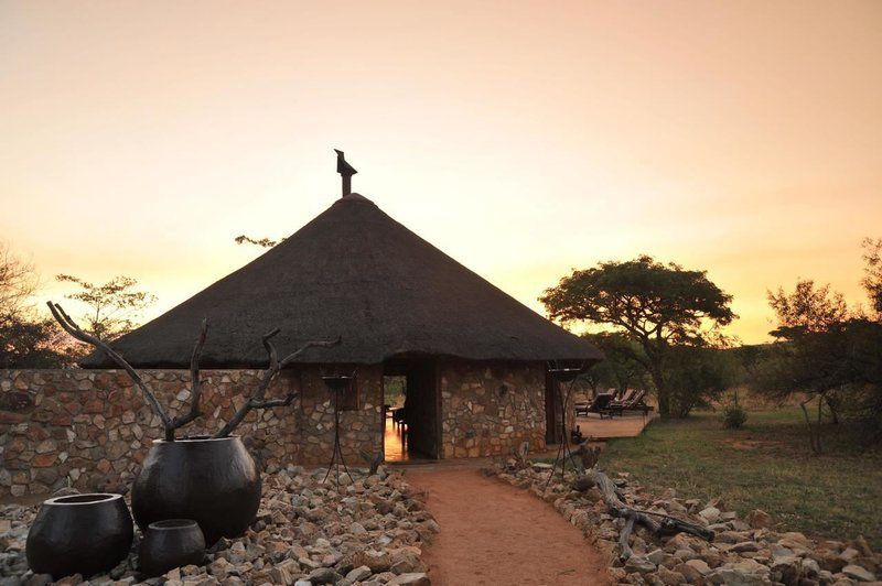 2 Night Kwafubesi Safari Package Mabula Private Game Reserve Limpopo Province South Africa 