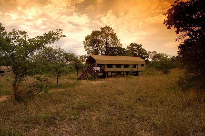 2 Night Kwafubesi Safari Package Mabula Private Game Reserve Limpopo Province South Africa Colorful