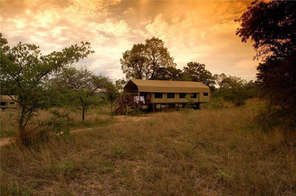 2 Night Kwafubesi Safari Package Mabula Private Game Reserve Limpopo Province South Africa Colorful