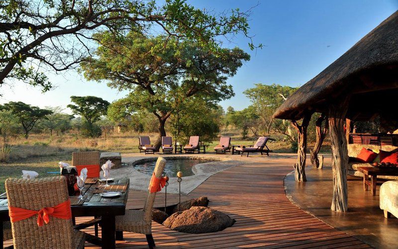 2 Night Kwafubesi Safari Package Mabula Private Game Reserve Limpopo Province South Africa Elephant, Mammal, Animal, Herbivore