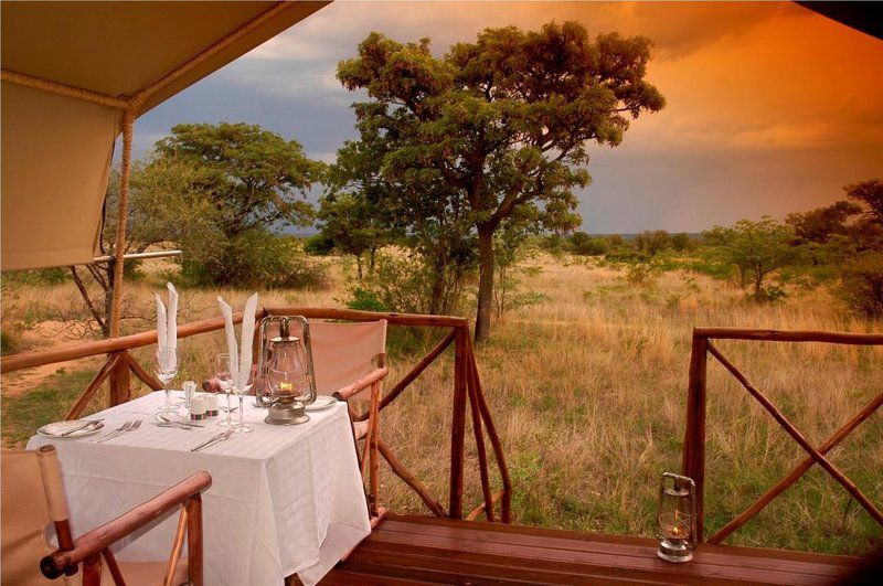 2 Night Kwafubesi Safari Package Mabula Private Game Reserve Limpopo Province South Africa Colorful