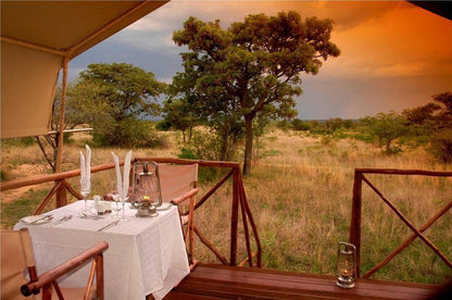 2 Night Kwafubesi Safari Package Mabula Private Game Reserve Limpopo Province South Africa Colorful
