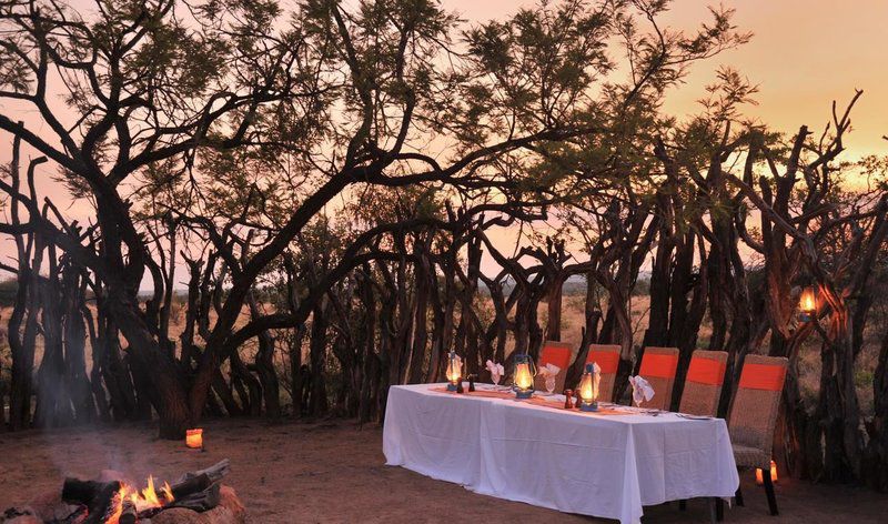 2 Night Kwafubesi Safari Package Mabula Private Game Reserve Limpopo Province South Africa 
