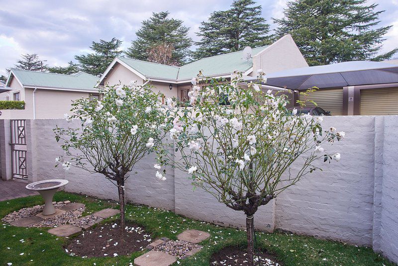 2 The Mews Clarens Clarens Free State South Africa Blossom, Plant, Nature, Garden