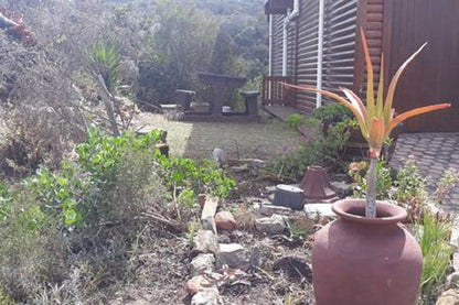 20 Kloof Street Bothastrand Great Brak River Western Cape South Africa Unsaturated, Plant, Nature, Garden