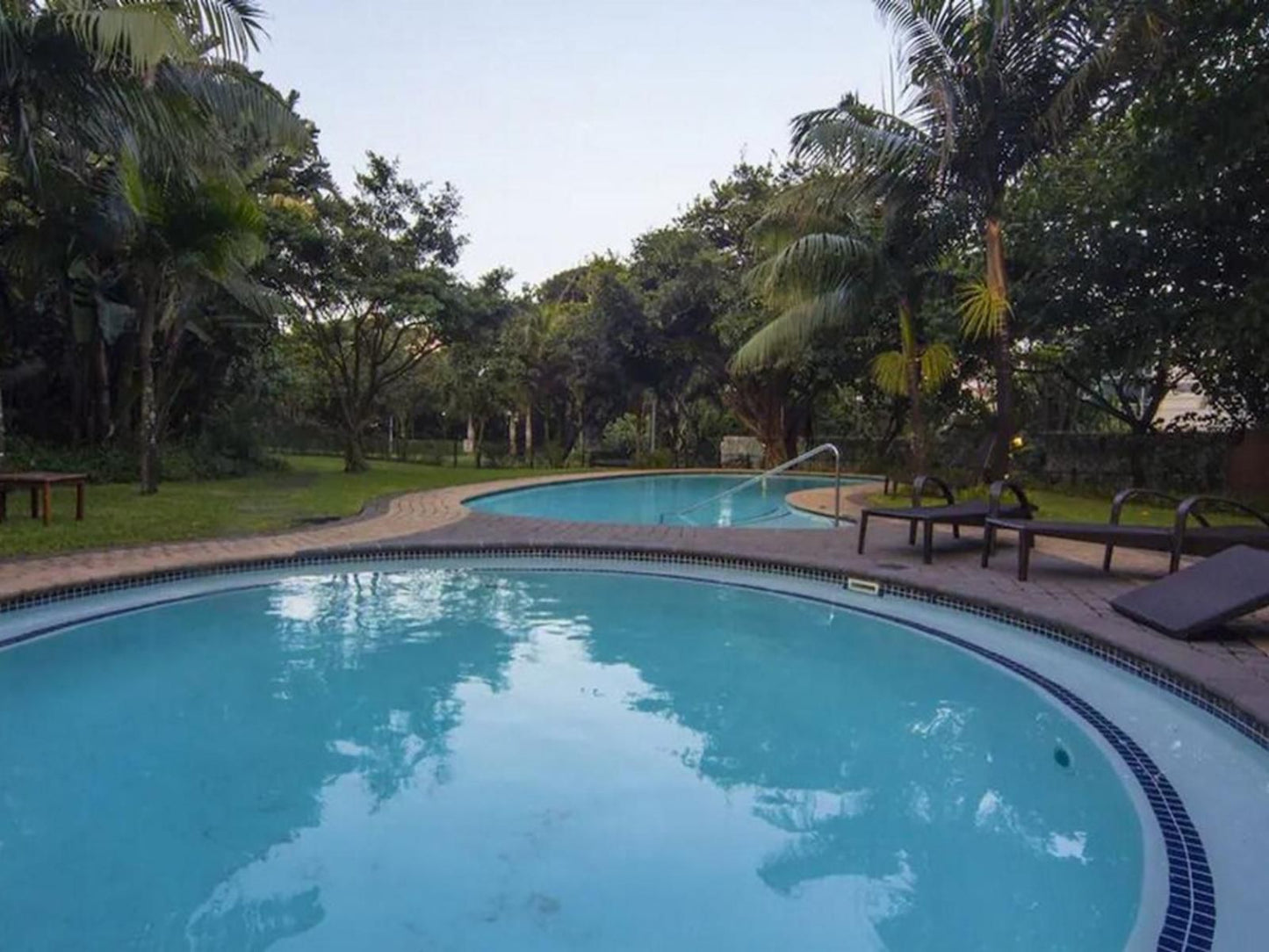 201 Oyster Quays Umhlanga Durban Kwazulu Natal South Africa Palm Tree, Plant, Nature, Wood, Swimming Pool