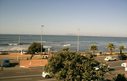 203 Mouille Grange Mouille Point Cape Town Western Cape South Africa Beach, Nature, Sand, Palm Tree, Plant, Wood