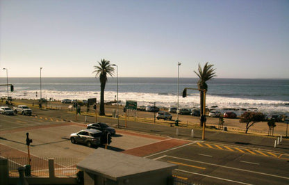 203 Mouille Grange Mouille Point Cape Town Western Cape South Africa Beach, Nature, Sand, Palm Tree, Plant, Wood, Wave, Waters, Ocean