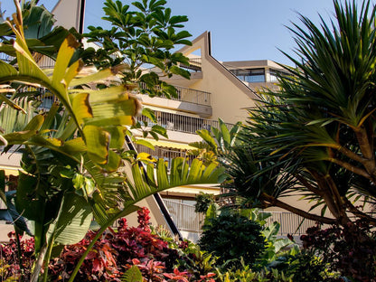 207 Terra Mare Umhlanga Rocks Umhlanga Kwazulu Natal South Africa Balcony, Architecture, House, Building, Palm Tree, Plant, Nature, Wood