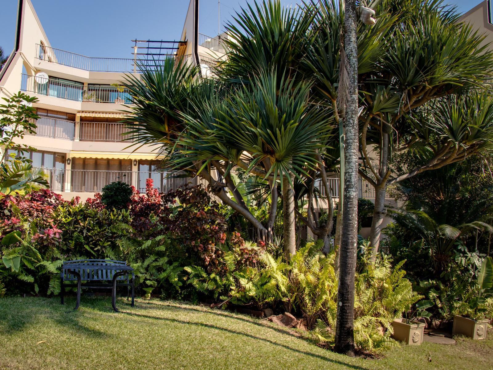 207 Terra Mare Umhlanga Rocks Umhlanga Kwazulu Natal South Africa House, Building, Architecture, Palm Tree, Plant, Nature, Wood