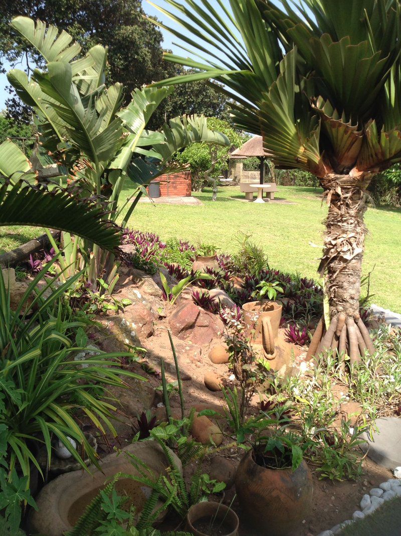 21 Ocean Breeze Kingsburgh Kwazulu Natal South Africa Palm Tree, Plant, Nature, Wood, Garden