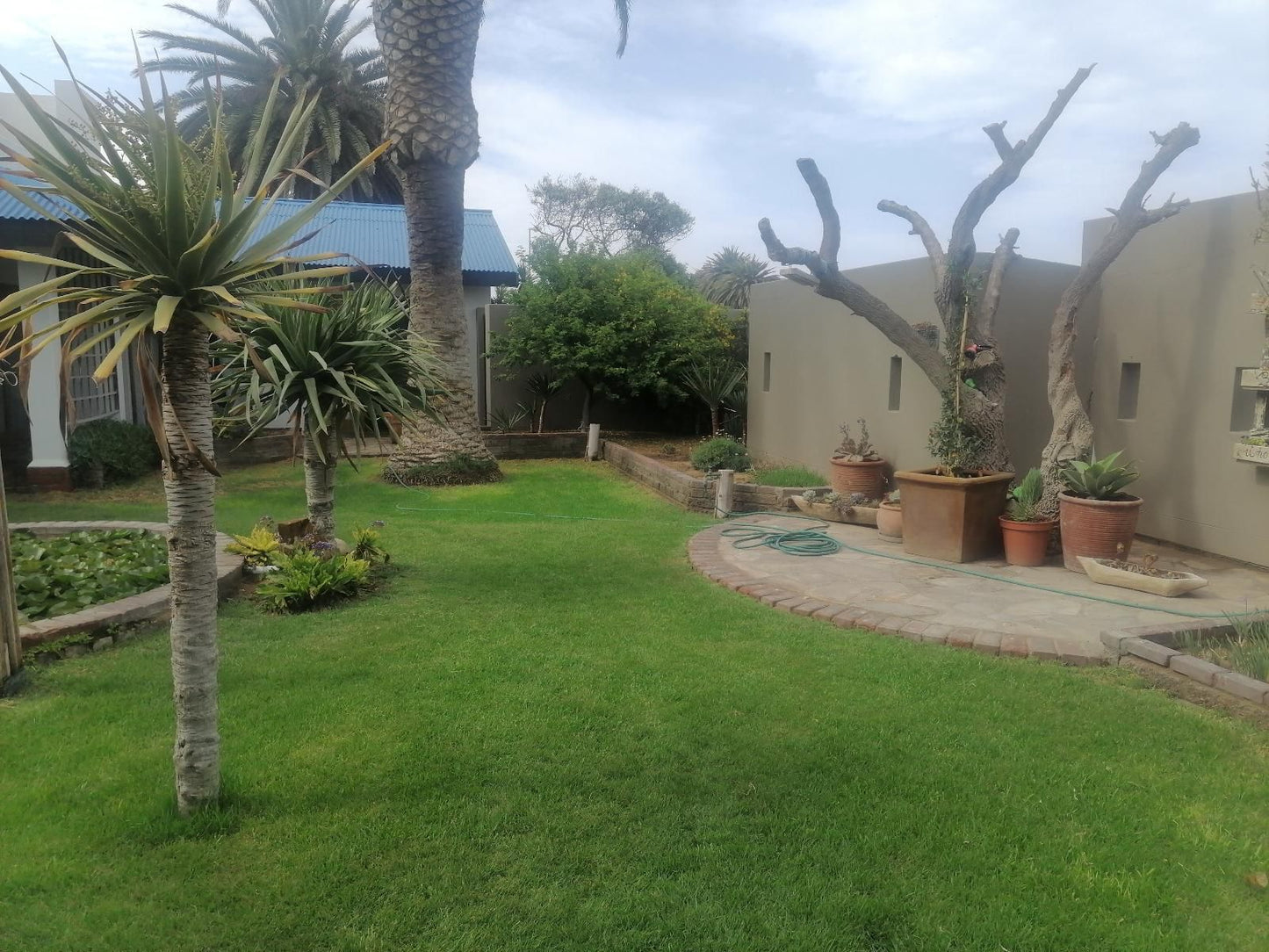 22 On Main Guesthouse Walvis Bay, Palm Tree, Plant, Nature, Wood, Garden