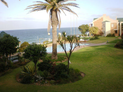 223 Brooks Hills Suites Summerstrand Port Elizabeth Eastern Cape South Africa Beach, Nature, Sand, Palm Tree, Plant, Wood, Framing