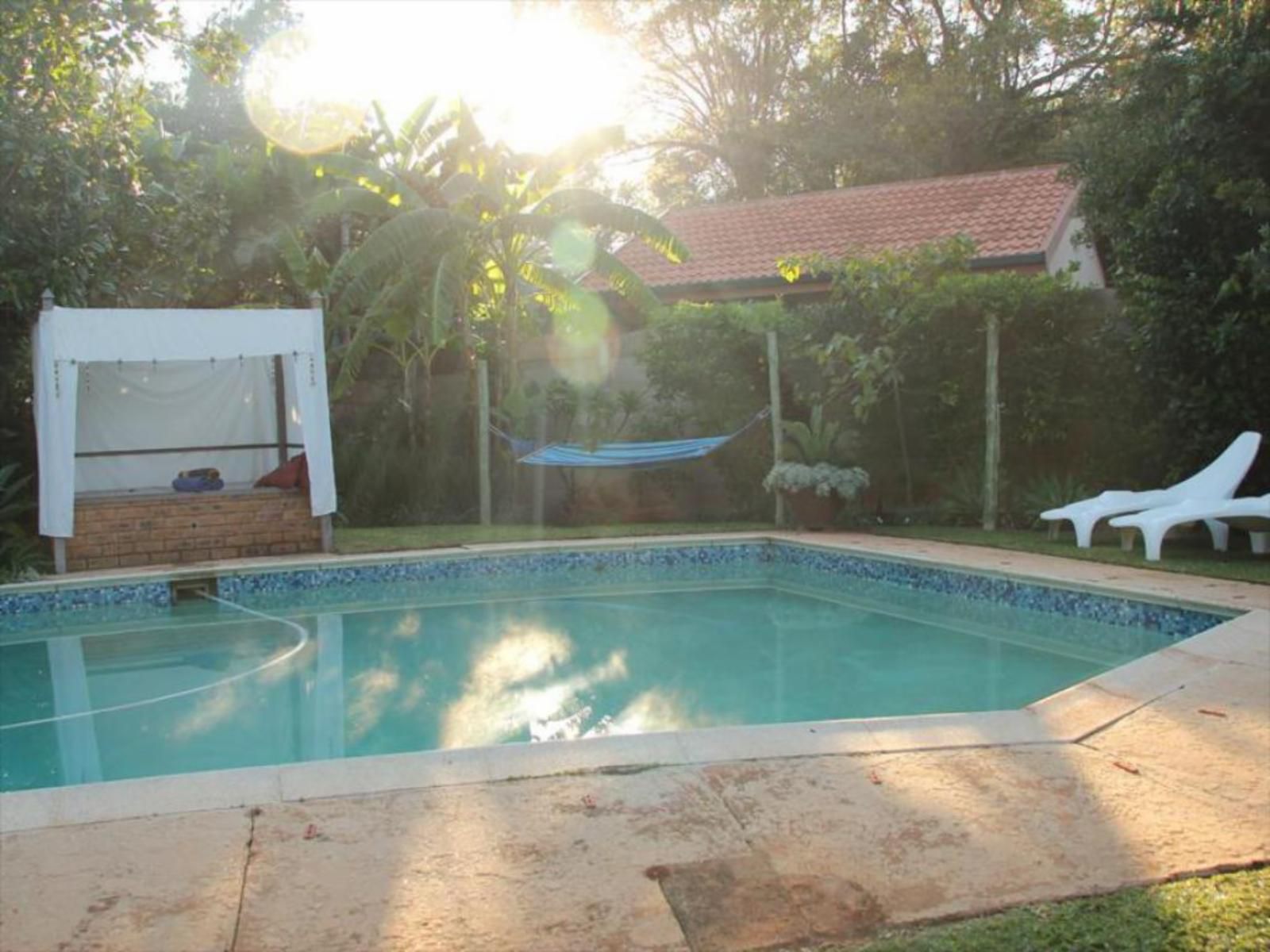 224 Carinus Bb And Self Catering Meyers Park Pretoria Tshwane Gauteng South Africa Palm Tree, Plant, Nature, Wood, Swimming Pool