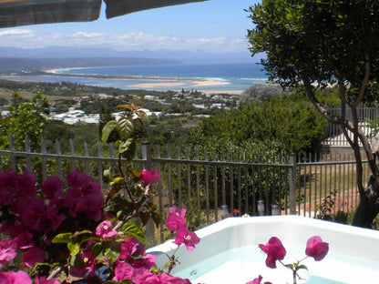 22 Julia Bandb Plett Central Plettenberg Bay Western Cape South Africa Nature