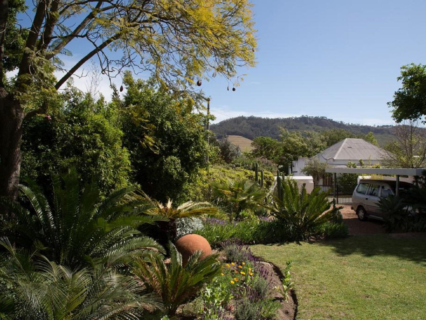 22 Van Wijk Street Franschhoek Franschhoek Western Cape South Africa Complementary Colors, Palm Tree, Plant, Nature, Wood, Garden