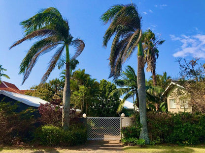 23 Ambleside Umtentweni Kwazulu Natal South Africa Beach, Nature, Sand, Palm Tree, Plant, Wood