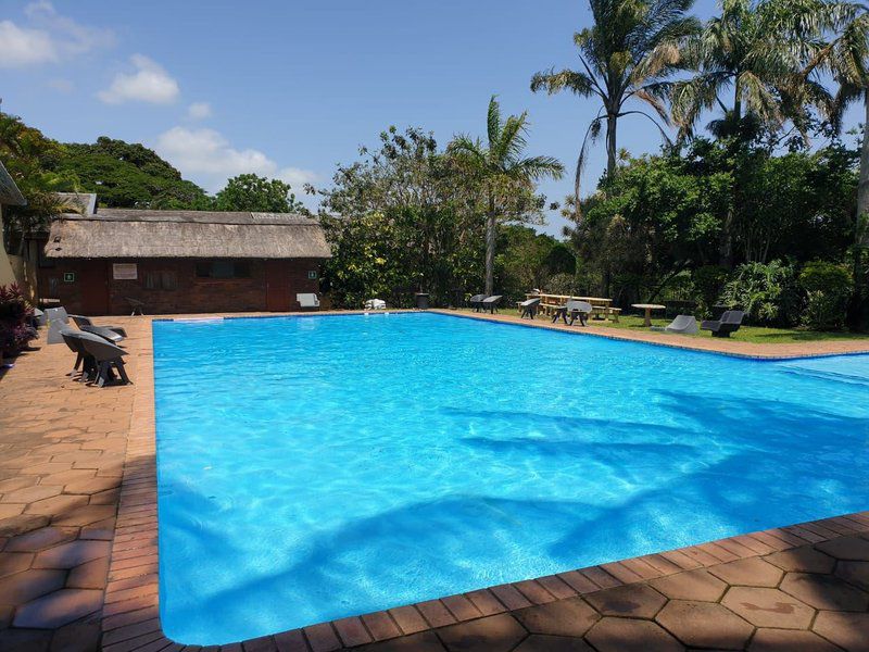 23 Manzini Chalets Pumba S Den St Lucia Kwazulu Natal South Africa Palm Tree, Plant, Nature, Wood, Swimming Pool