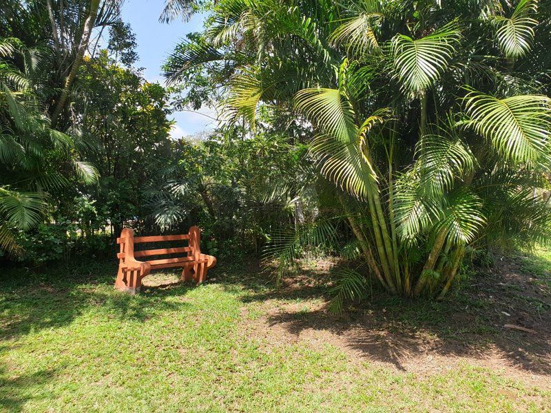 23 Manzini Chalets Pumba S Den St Lucia Kwazulu Natal South Africa Palm Tree, Plant, Nature, Wood