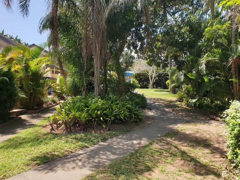 23 Manzini Chalets Pumba S Den St Lucia Kwazulu Natal South Africa House, Building, Architecture, Palm Tree, Plant, Nature, Wood, Garden