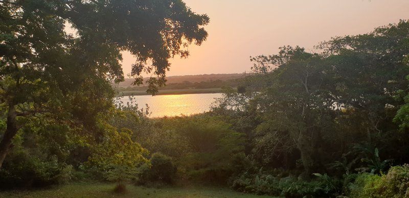 23 Manzini Chalets Pumba S Den St Lucia Kwazulu Natal South Africa Sepia Tones, Sky, Nature, Tree, Plant, Wood, Sunset