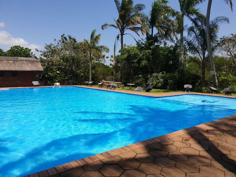 23 Manzini Chalets Pumba S Den St Lucia Kwazulu Natal South Africa Palm Tree, Plant, Nature, Wood, Swimming Pool