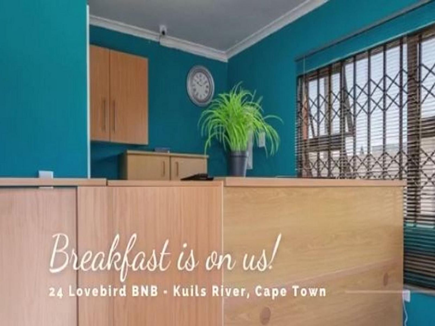 24 Lovebird Bnb Kuils River Cape Town Western Cape South Africa Food
