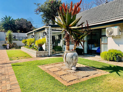 24 On Basil, House, Building, Architecture, Palm Tree, Plant, Nature, Wood, Garden, Living Room