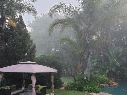 25 On Catherine Shere Pretoria Tshwane Gauteng South Africa Unsaturated, Palm Tree, Plant, Nature, Wood, Garden, Rain