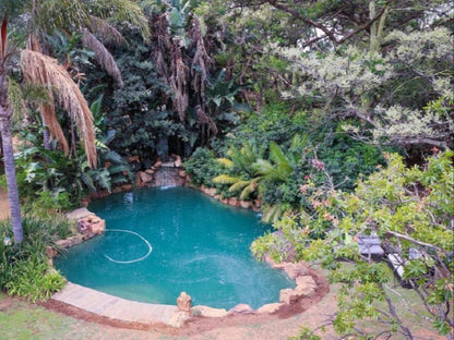 25 On Catherine Shere Pretoria Tshwane Gauteng South Africa Garden, Nature, Plant, Swimming Pool