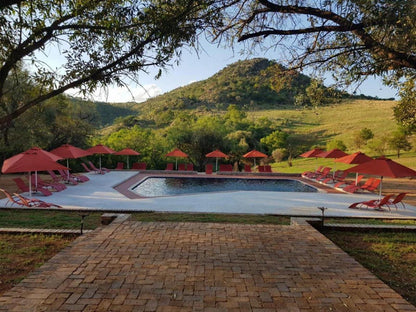 26Deg South Bush Boho Hotel Erasmia Centurion Gauteng South Africa Swimming Pool