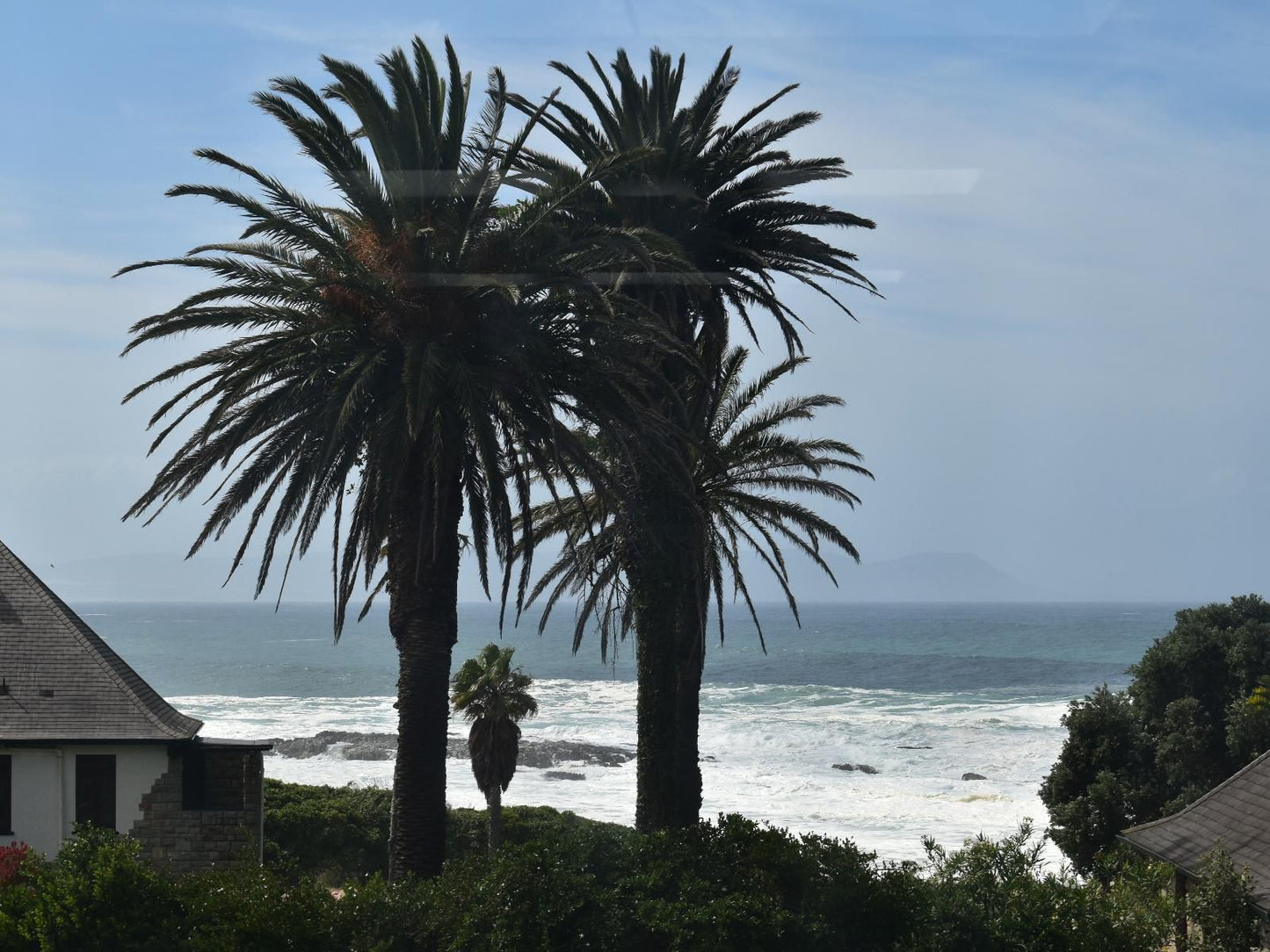 269 On Main, Beach, Nature, Sand, Palm Tree, Plant, Wood