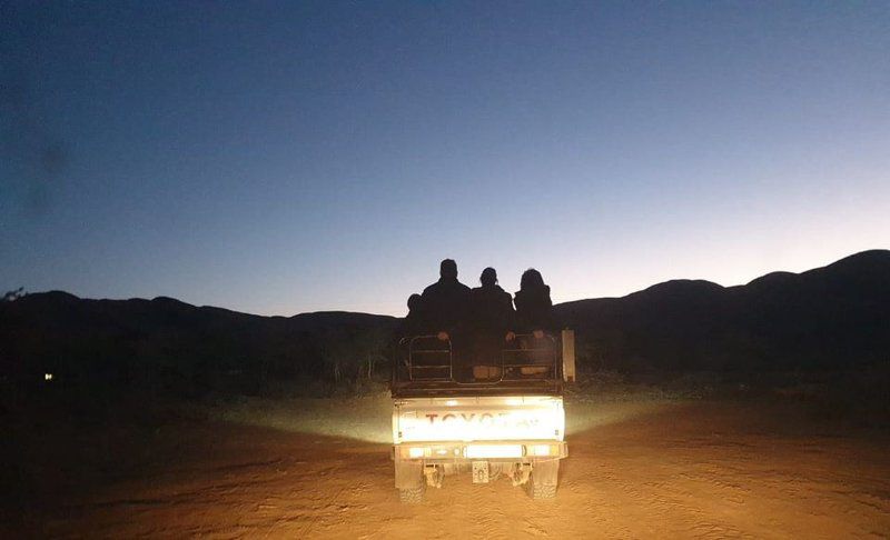 27 Degrees South Safaris Olifantshoek Northern Cape South Africa Silhouette, Desert, Nature, Sand