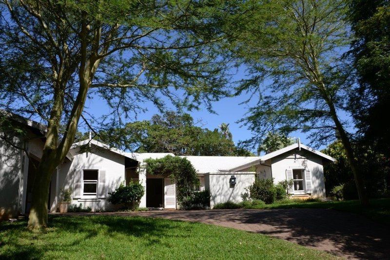 282 Berea Road Southbroom Kwazulu Natal South Africa House, Building, Architecture, Palm Tree, Plant, Nature, Wood