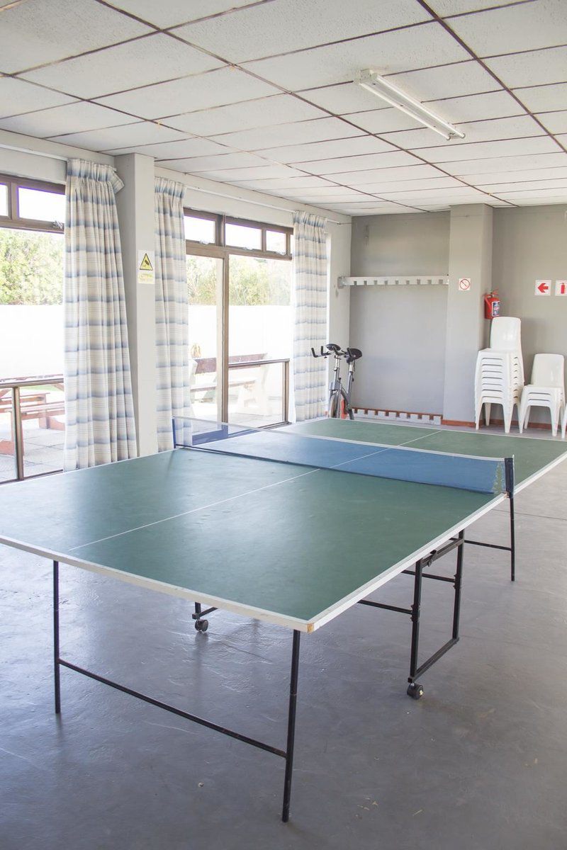 28 Duiker Meerenbosch Fisherhaven Western Cape South Africa Unsaturated, Ball Game, Sport, Table Tennis