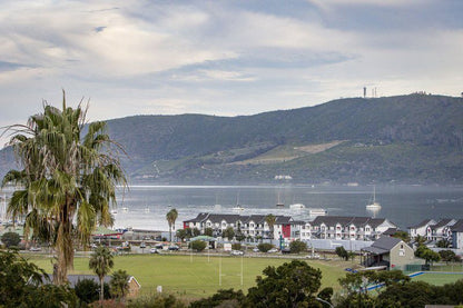 2 Agnar Mews West Hill Knysna Western Cape South Africa Palm Tree, Plant, Nature, Wood, City, Architecture, Building