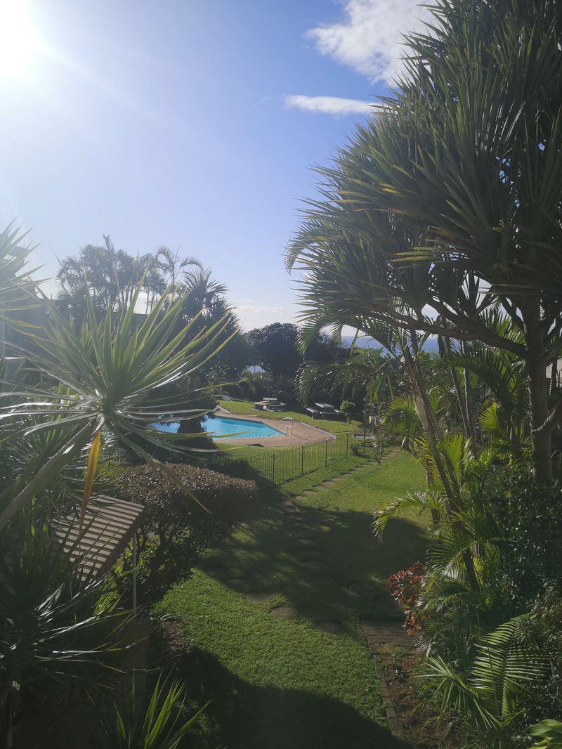 2B Club Mykonos Umdloti Beach Durban Kwazulu Natal South Africa Palm Tree, Plant, Nature, Wood, Garden, Swimming Pool