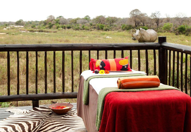 2 Night Classic Kruger Safari Package Skukuza Mpumalanga South Africa 