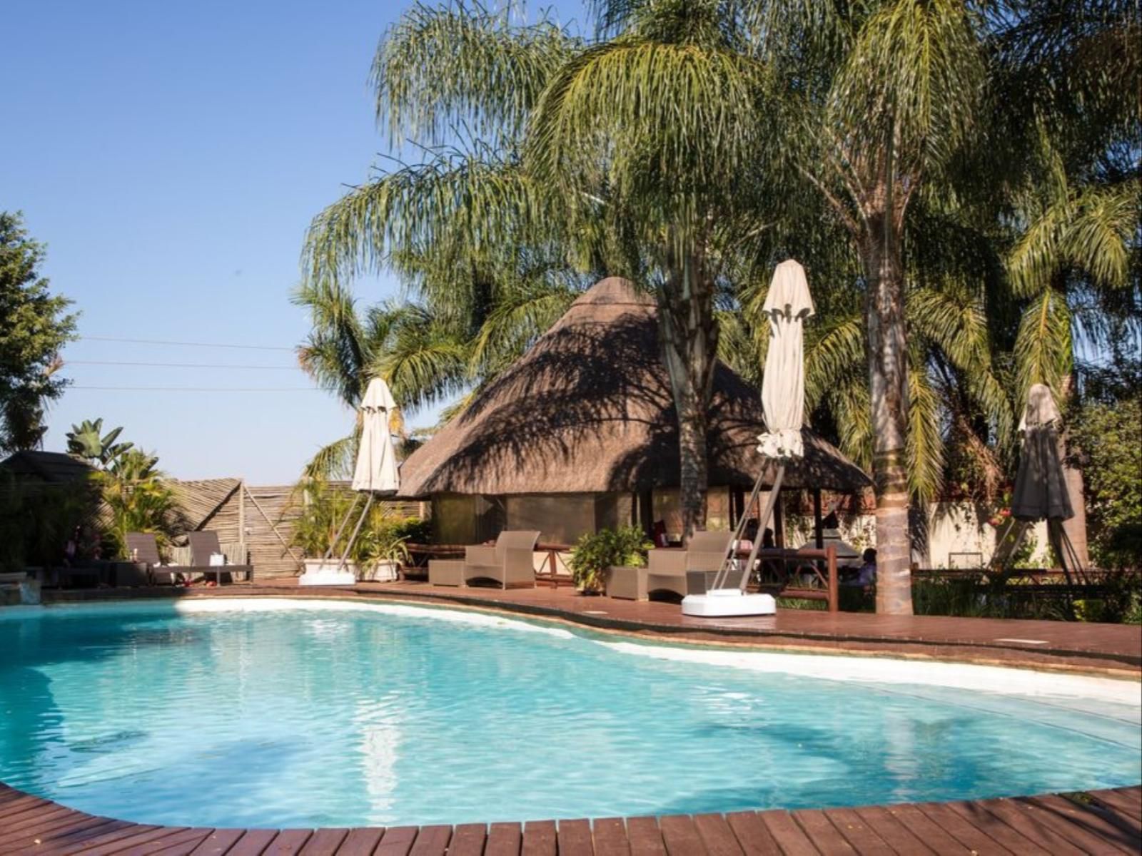 2Ten Hotel Thohoyandou Limpopo Province South Africa Complementary Colors, Palm Tree, Plant, Nature, Wood, Swimming Pool