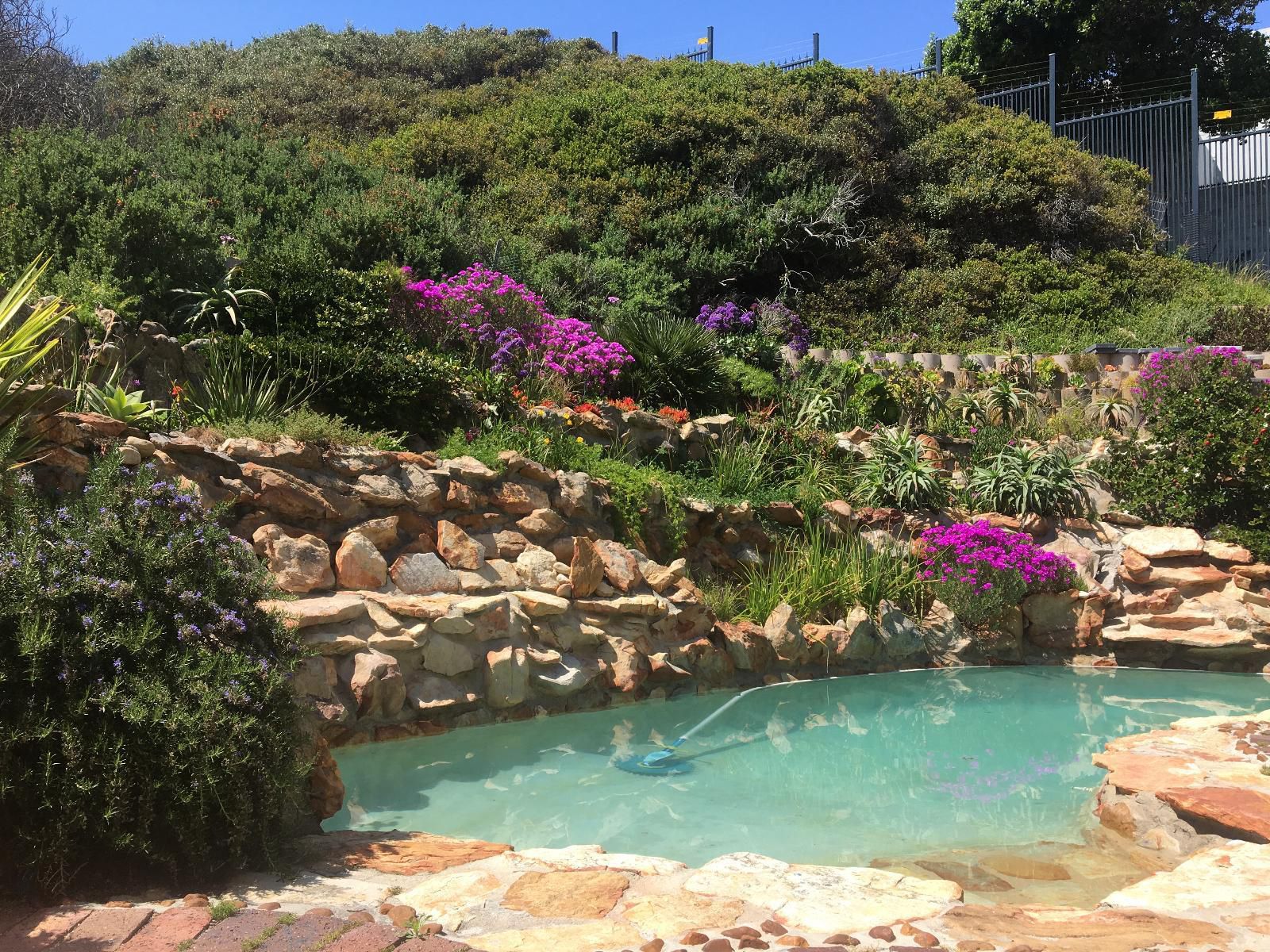 2Whitewaters Bloubergstrand Blouberg Western Cape South Africa Garden, Nature, Plant, Swimming Pool